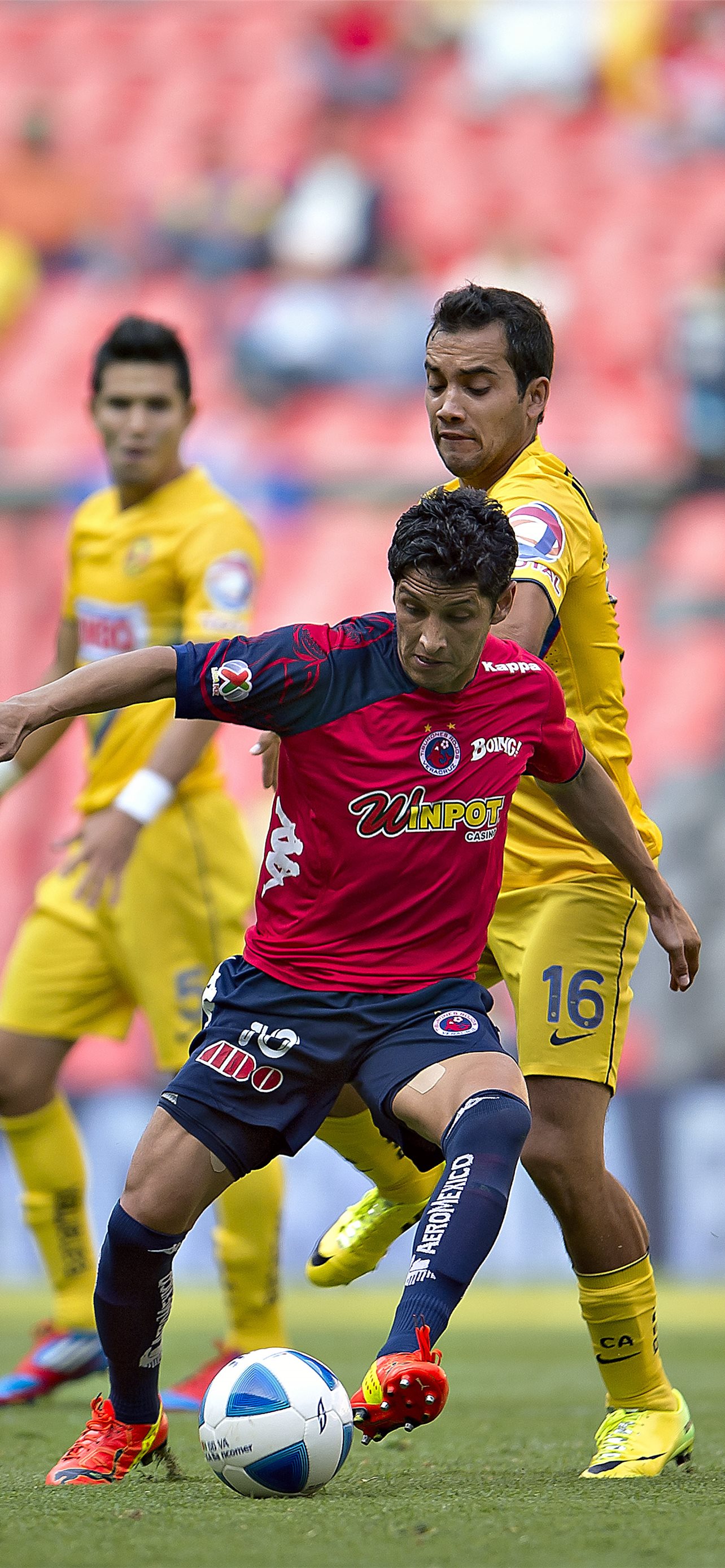 Tiburones Rojos De Veracruz Wallpapers