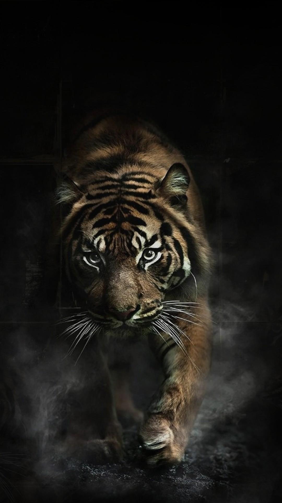 Tiger 3D Iphone Wallpapers