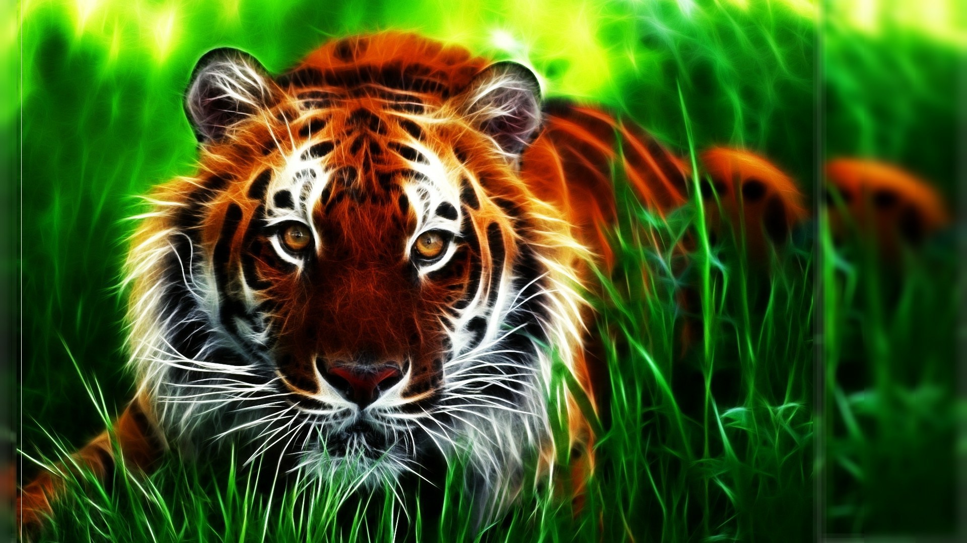 Tiger 3D Iphone Wallpapers