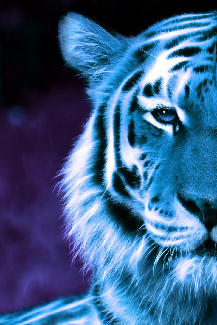 Tiger Free Wallpapers