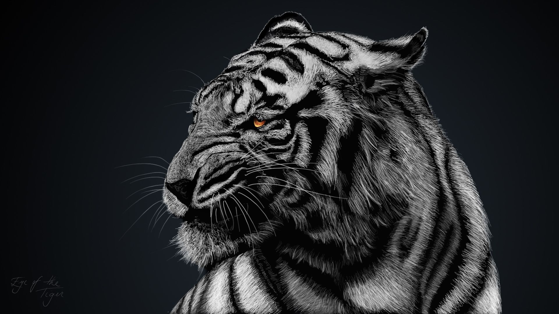 Tiger Free Wallpapers