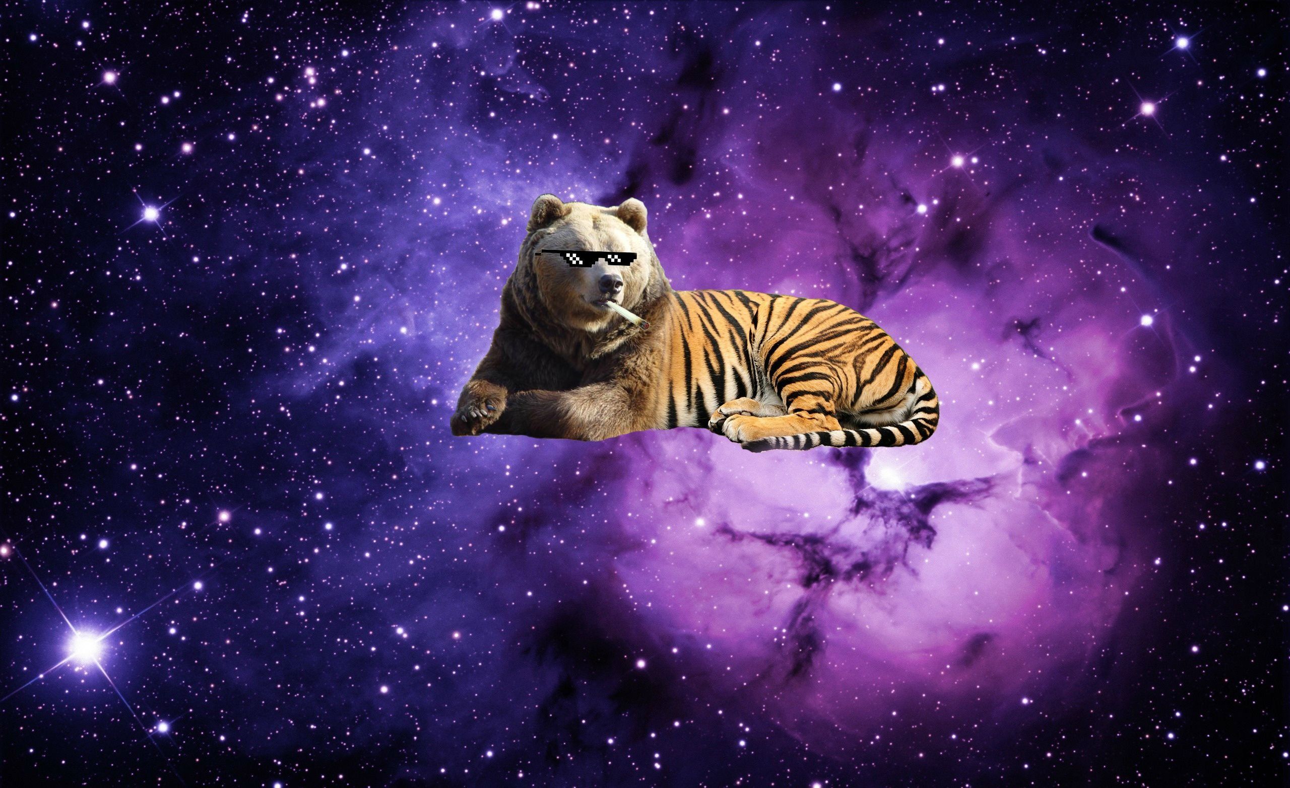 Tiger Galaxy Wallpapers