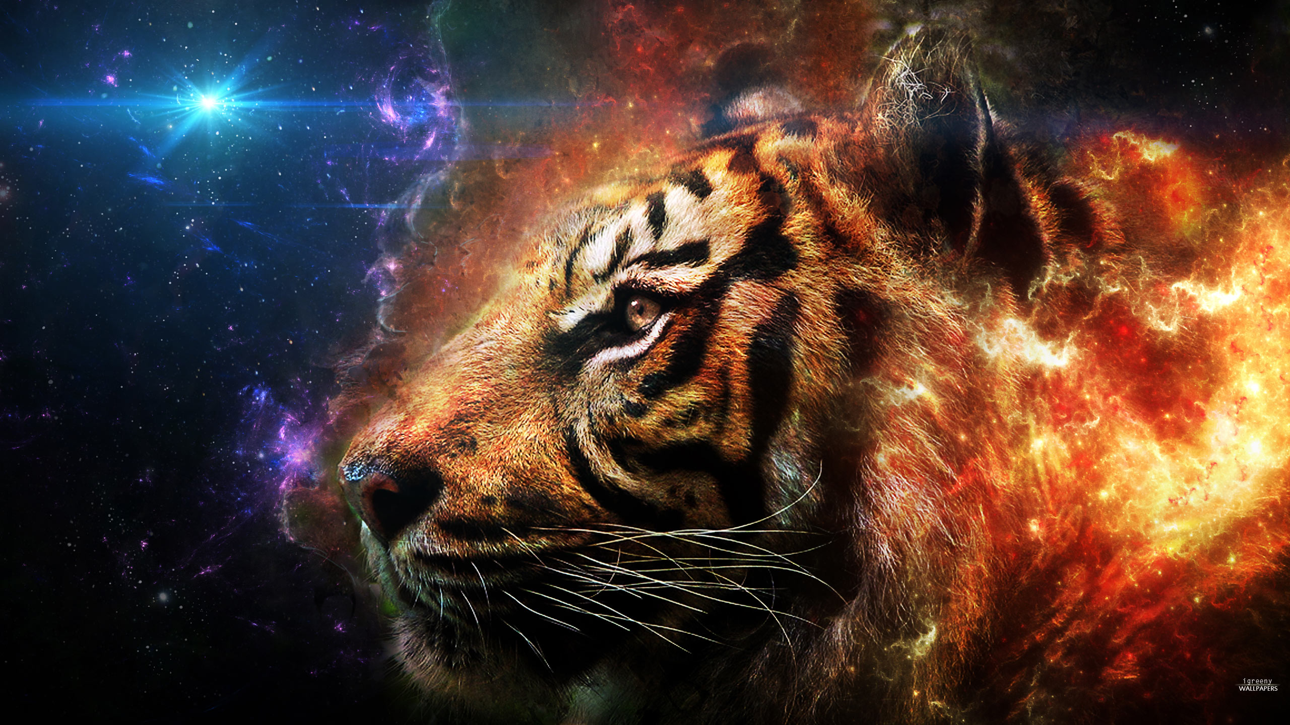 Tiger Head Wallpapers