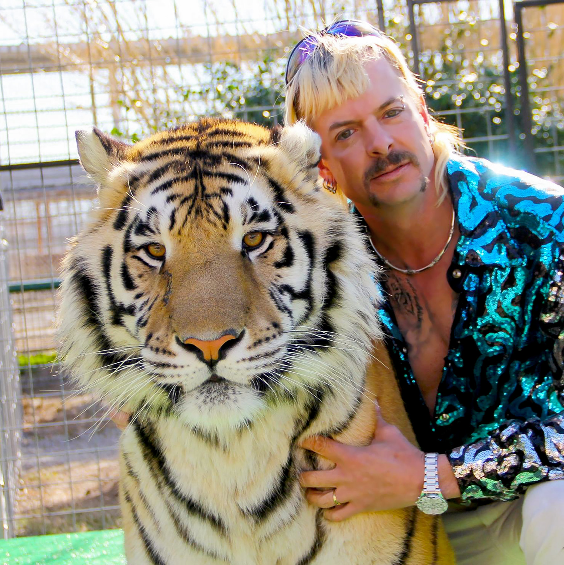 Tiger King Joe Exotic Wallpapers