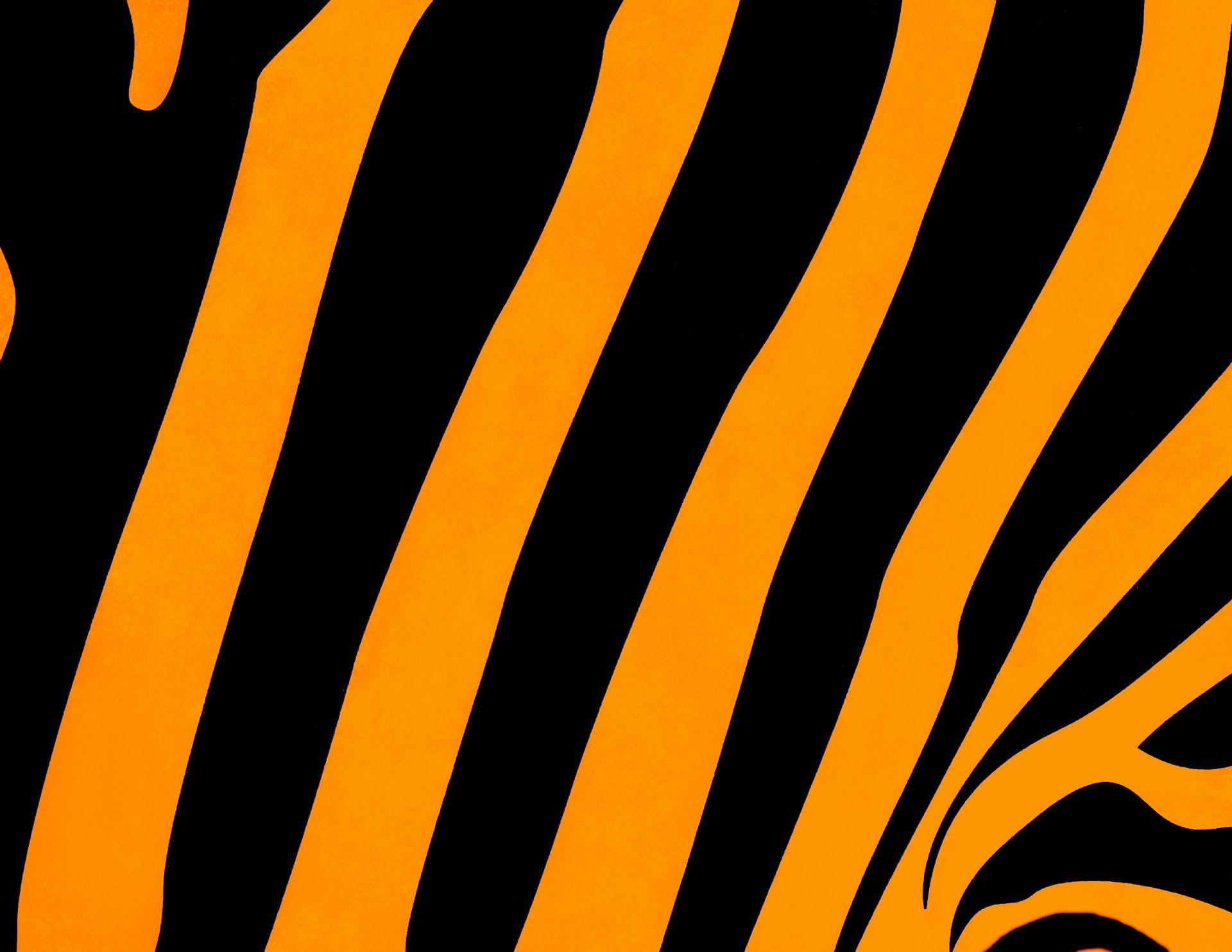 Tiger Stripes Wallpapers