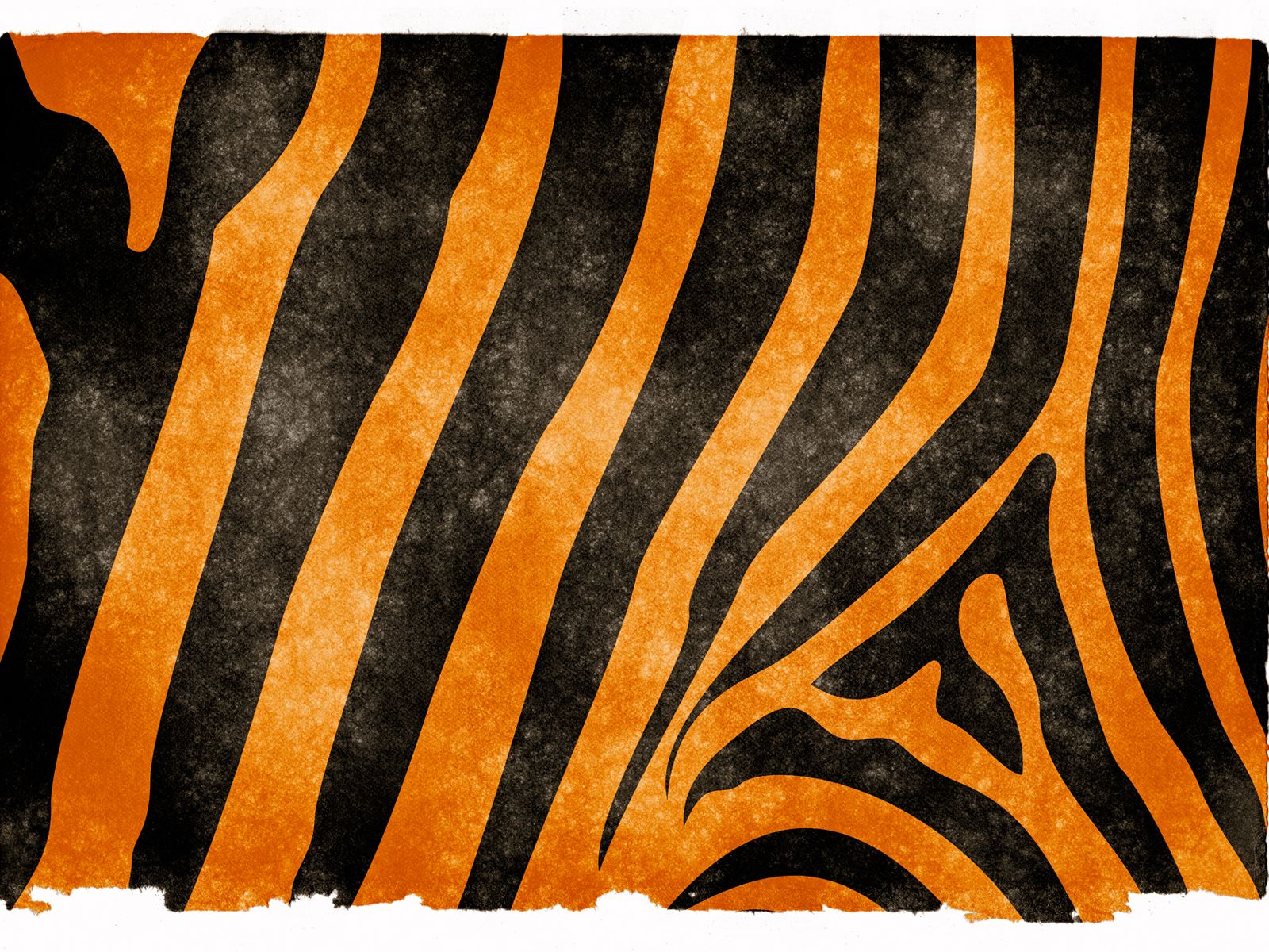 Tiger Stripes Wallpapers