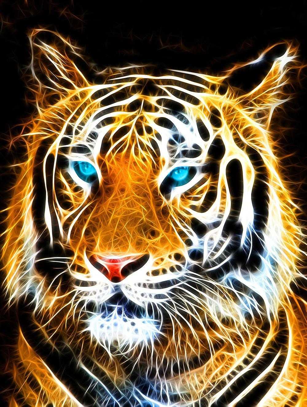 Tiger Wallpapers