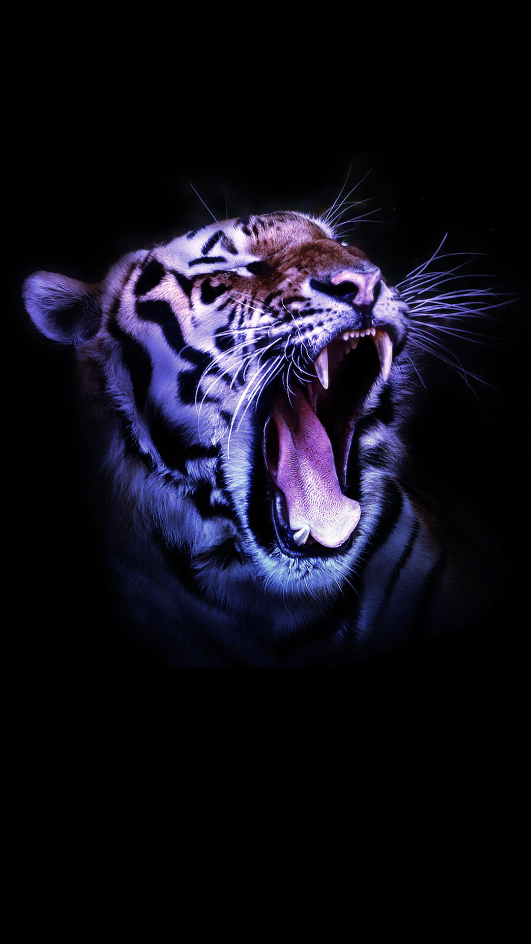 Tigers Iphone Wallpapers