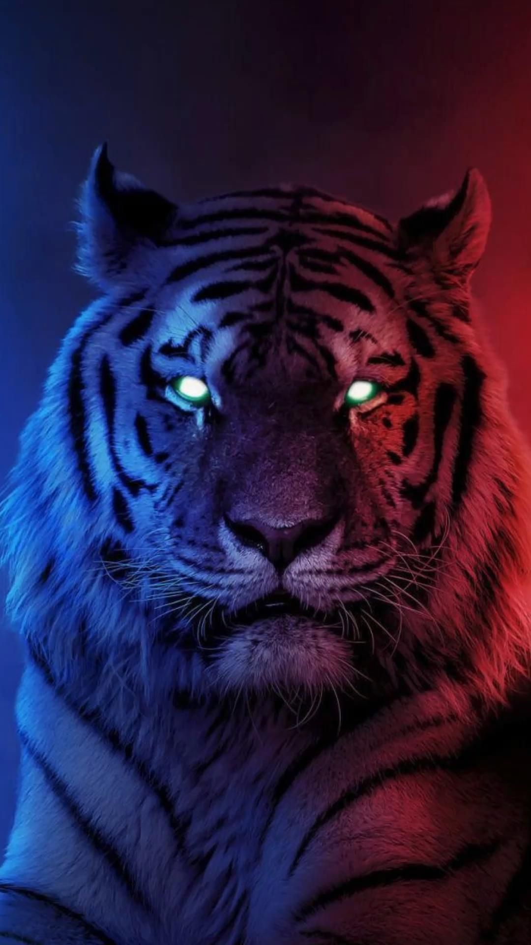 Tigers Wallpapers