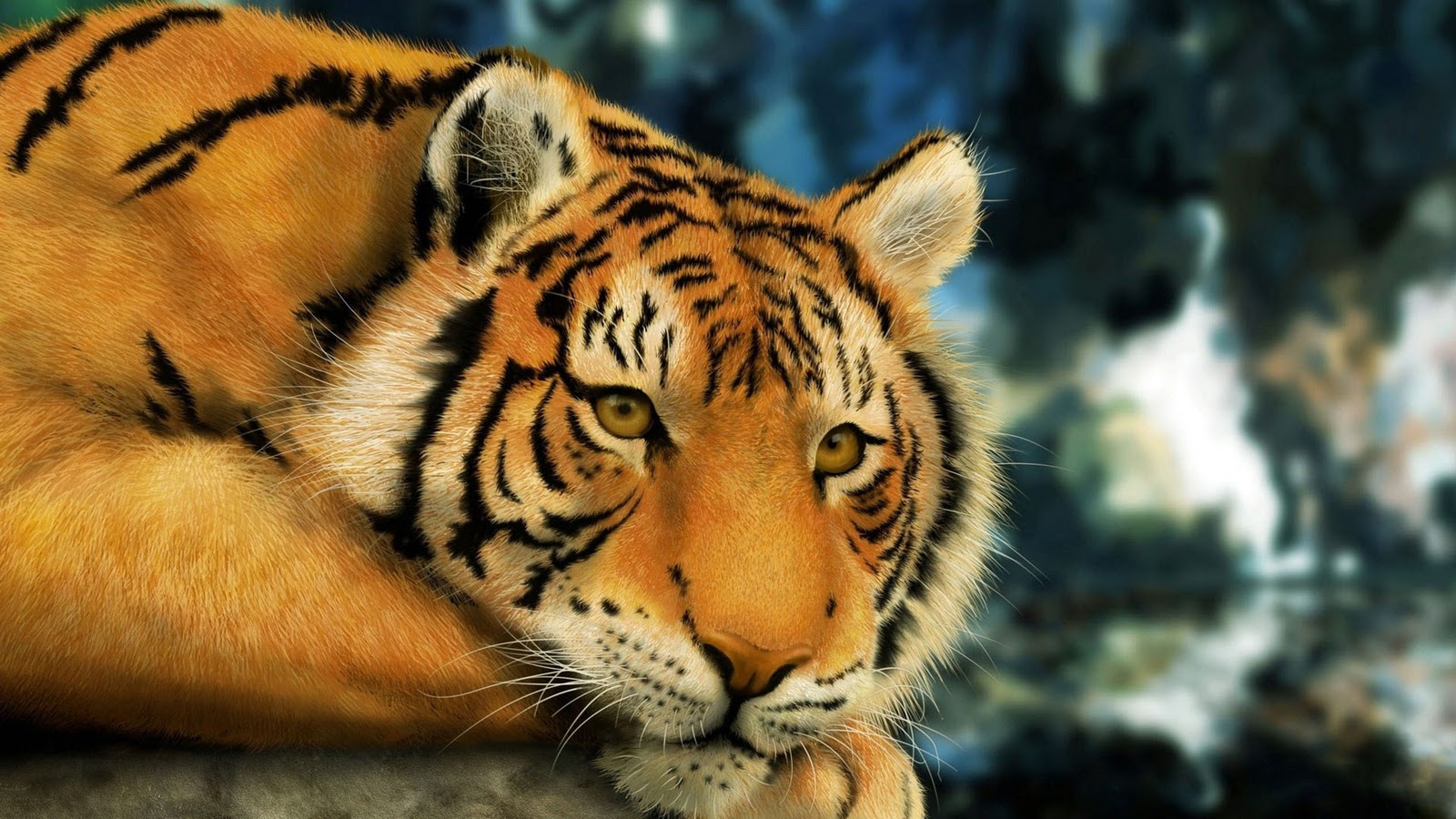 Tigers Wallpapers