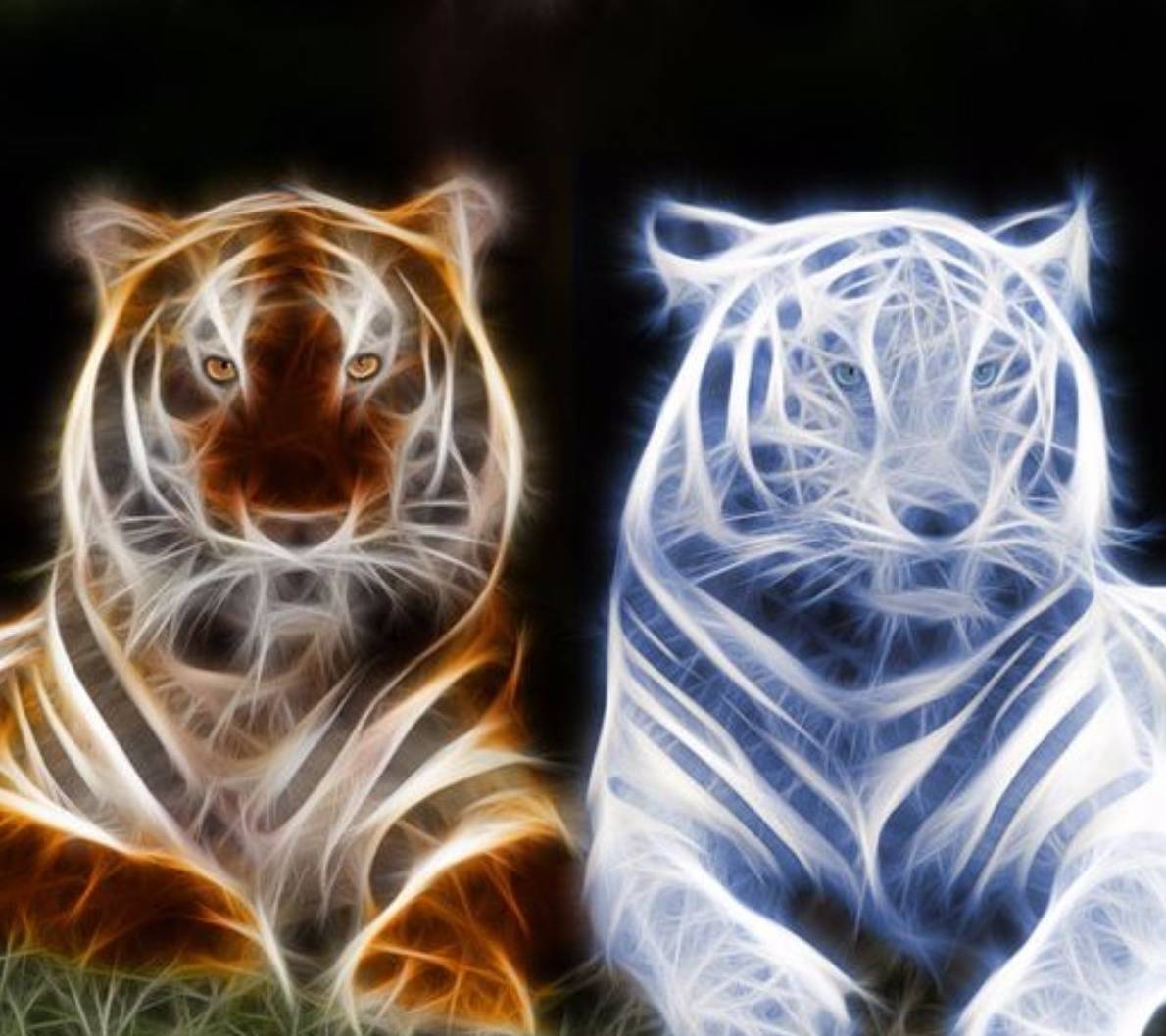 Tigress Patronus Wallpapers