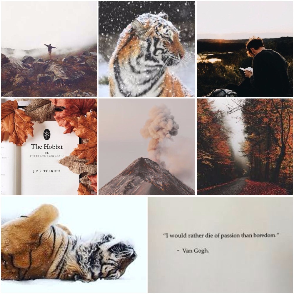 Tigress Patronus Wallpapers