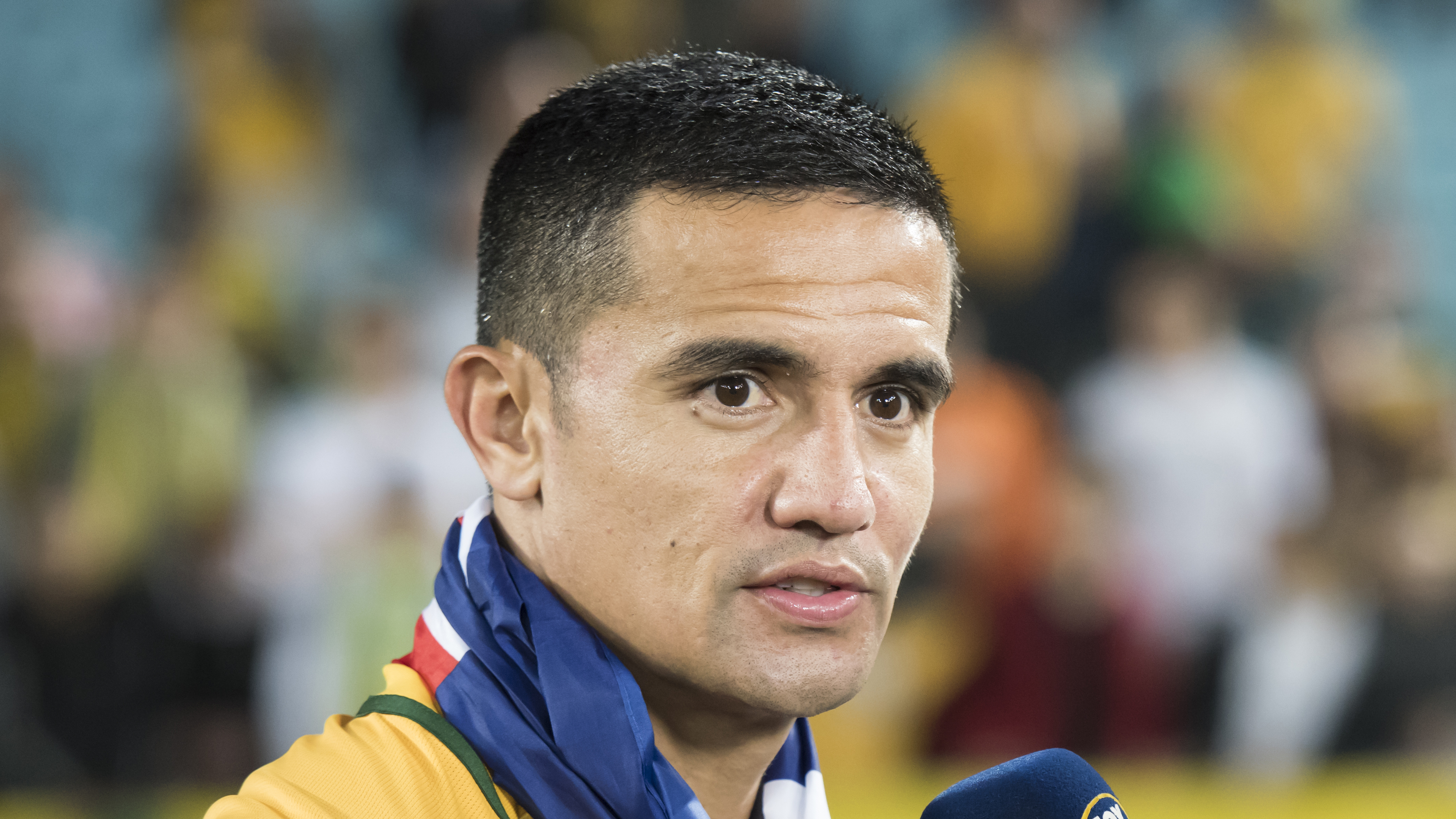 Tim Cahill Wallpapers