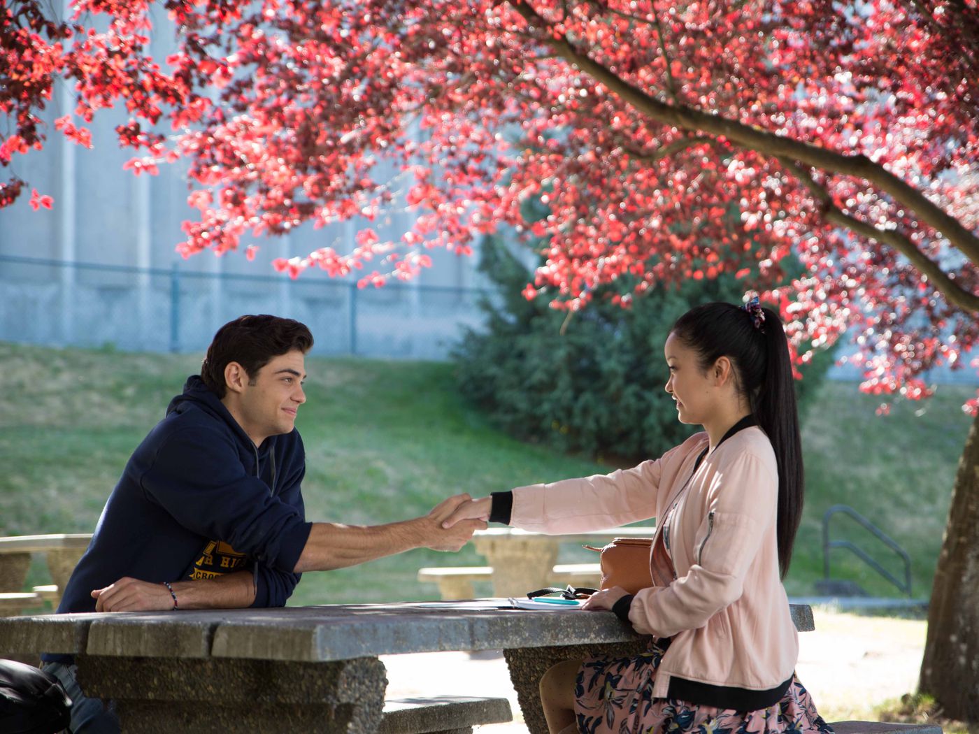 To All The Boys I'Ve Loved Before Wallpapers