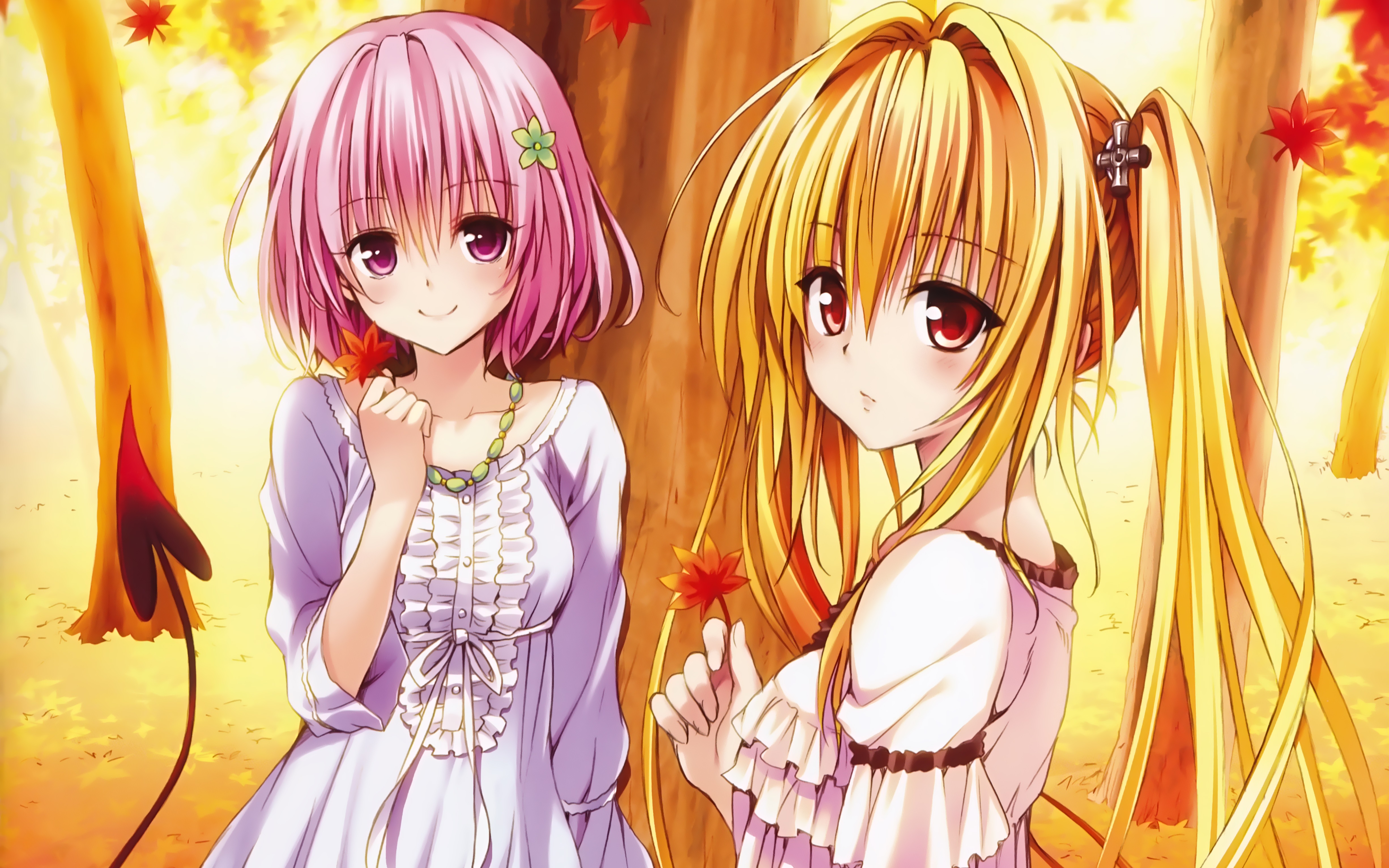 To Love Ru Wallpapers