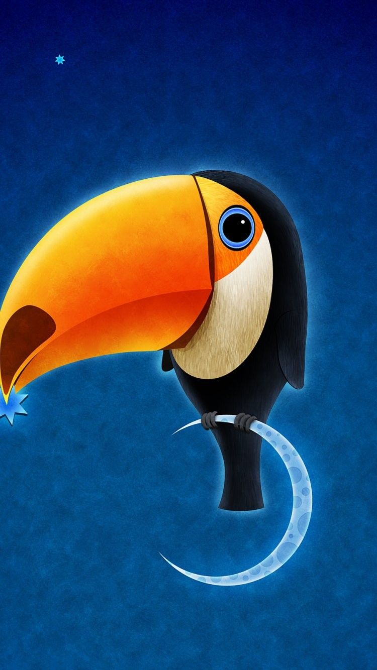 Toco Toucan Wallpapers