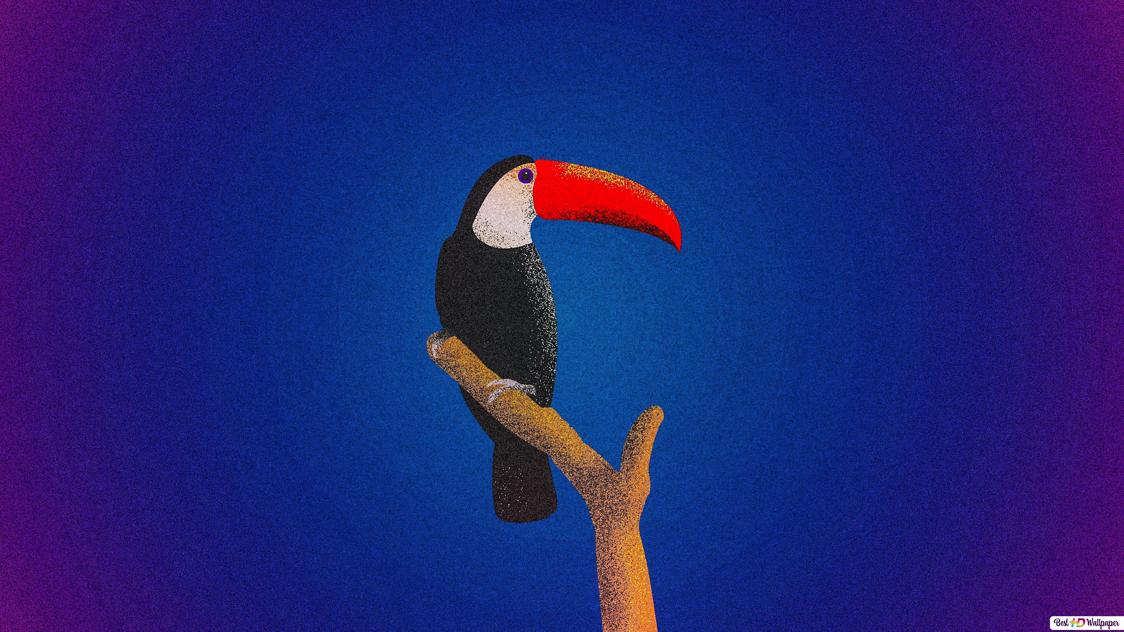 Toco Toucan Wallpapers