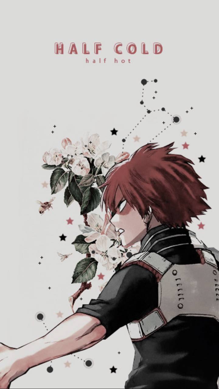 Todoroki Aesthetic Wallpapers