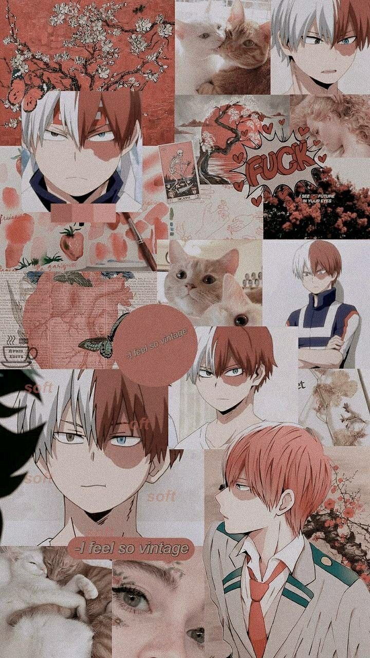 Todoroki Collage Wallpapers