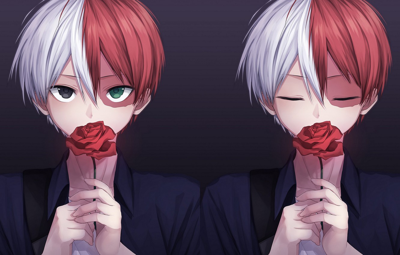 Todoroki Collage Wallpapers