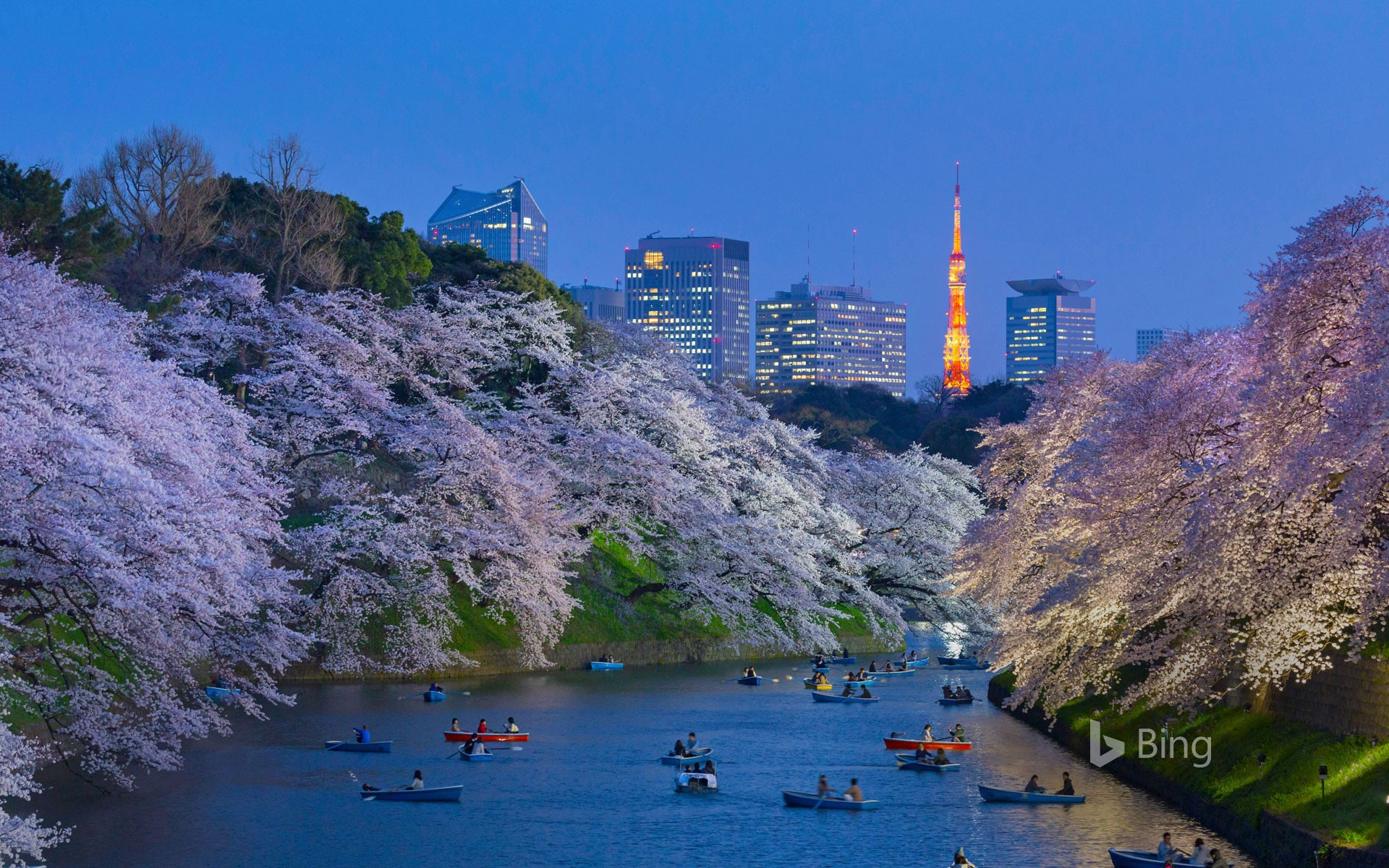 Tokyo Imperial Palace Wallpapers