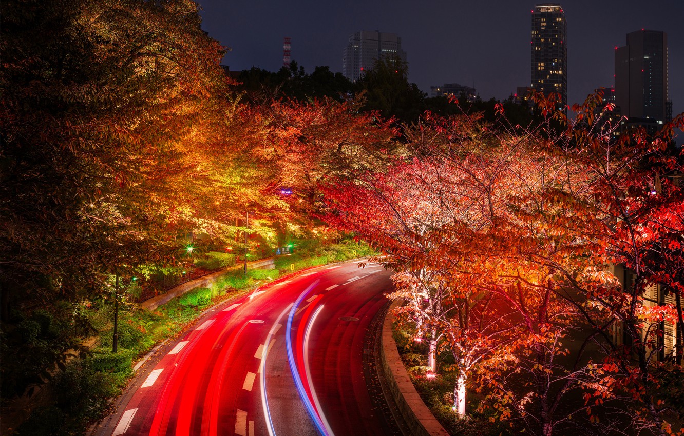 Tokyo Lights Wallpapers