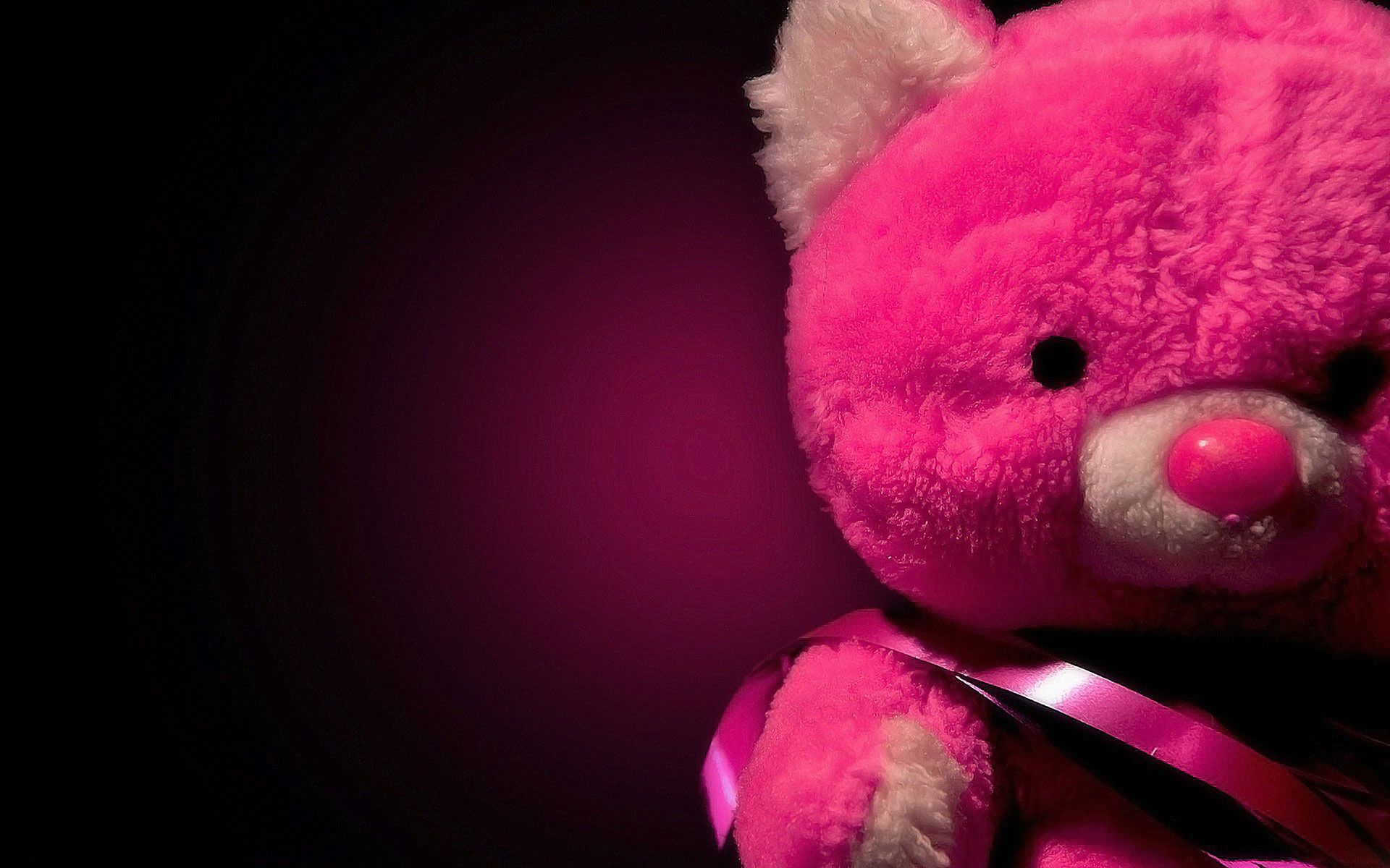 Tokyo Teddy Bear Download Wallpapers