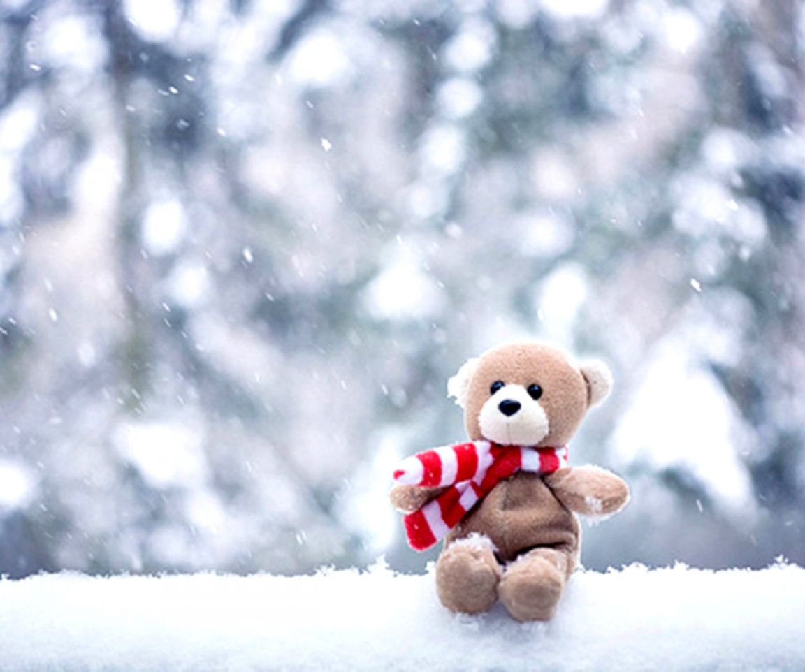 Tokyo Teddy Bear Download Wallpapers