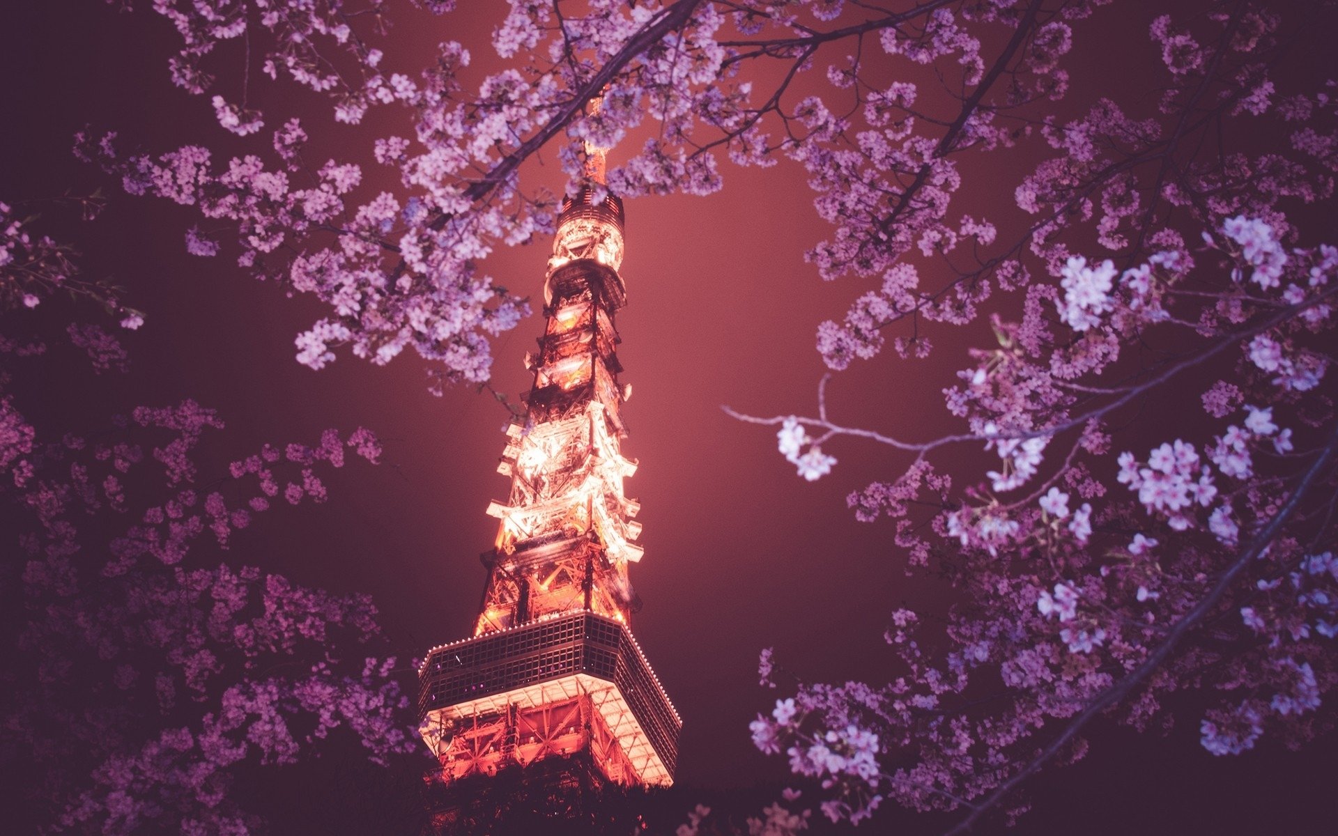 Tokyo Tower At Night Wallpapers