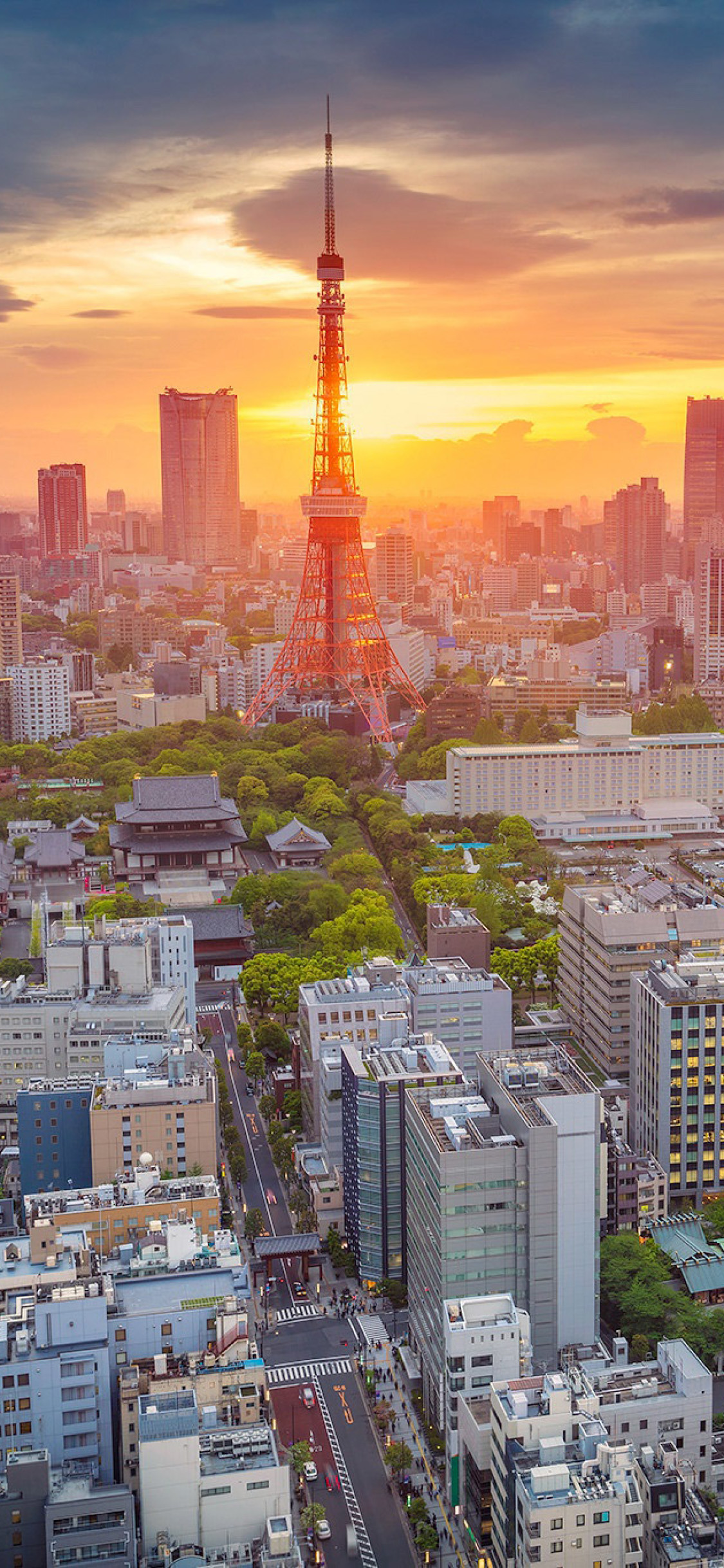 Tokyo Tower At Night Wallpapers