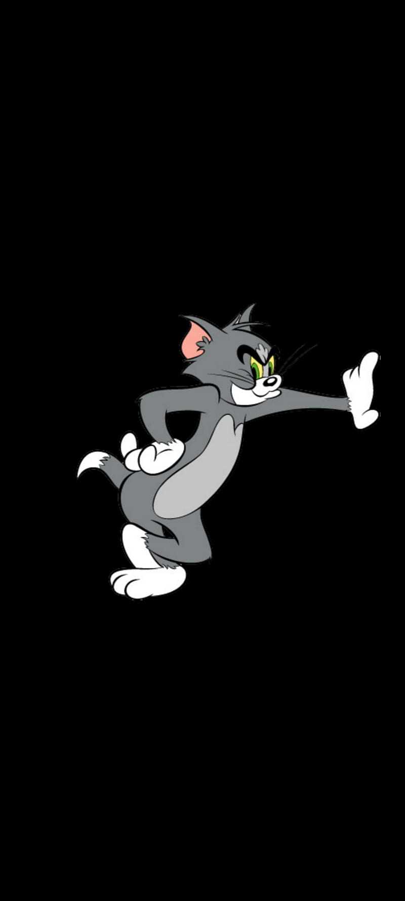 Tom & Jerry Wallpapers