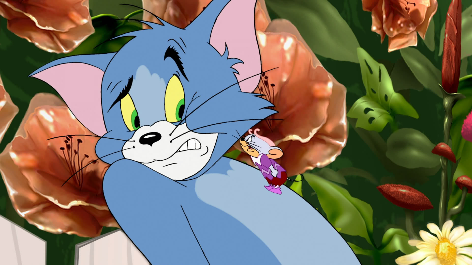 Tom & Jerry Wallpapers