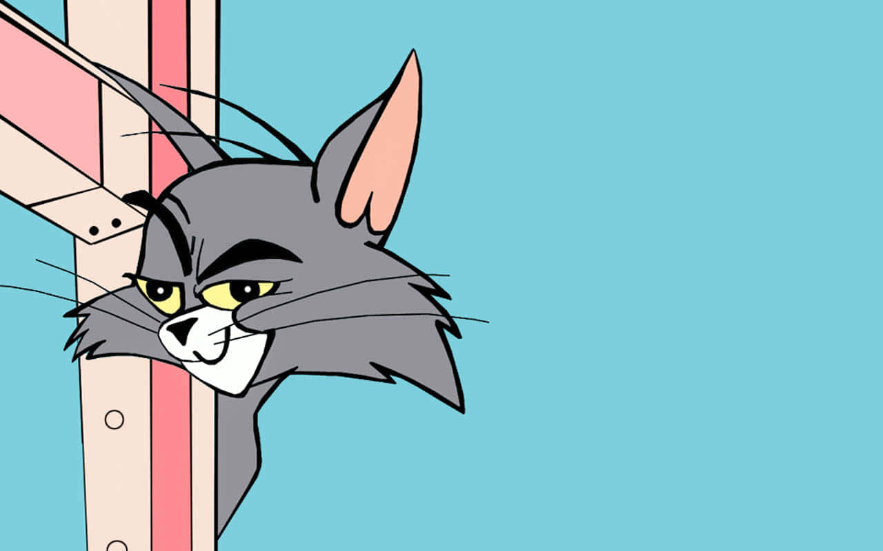 Tom And Jerry Funny Wallpapers