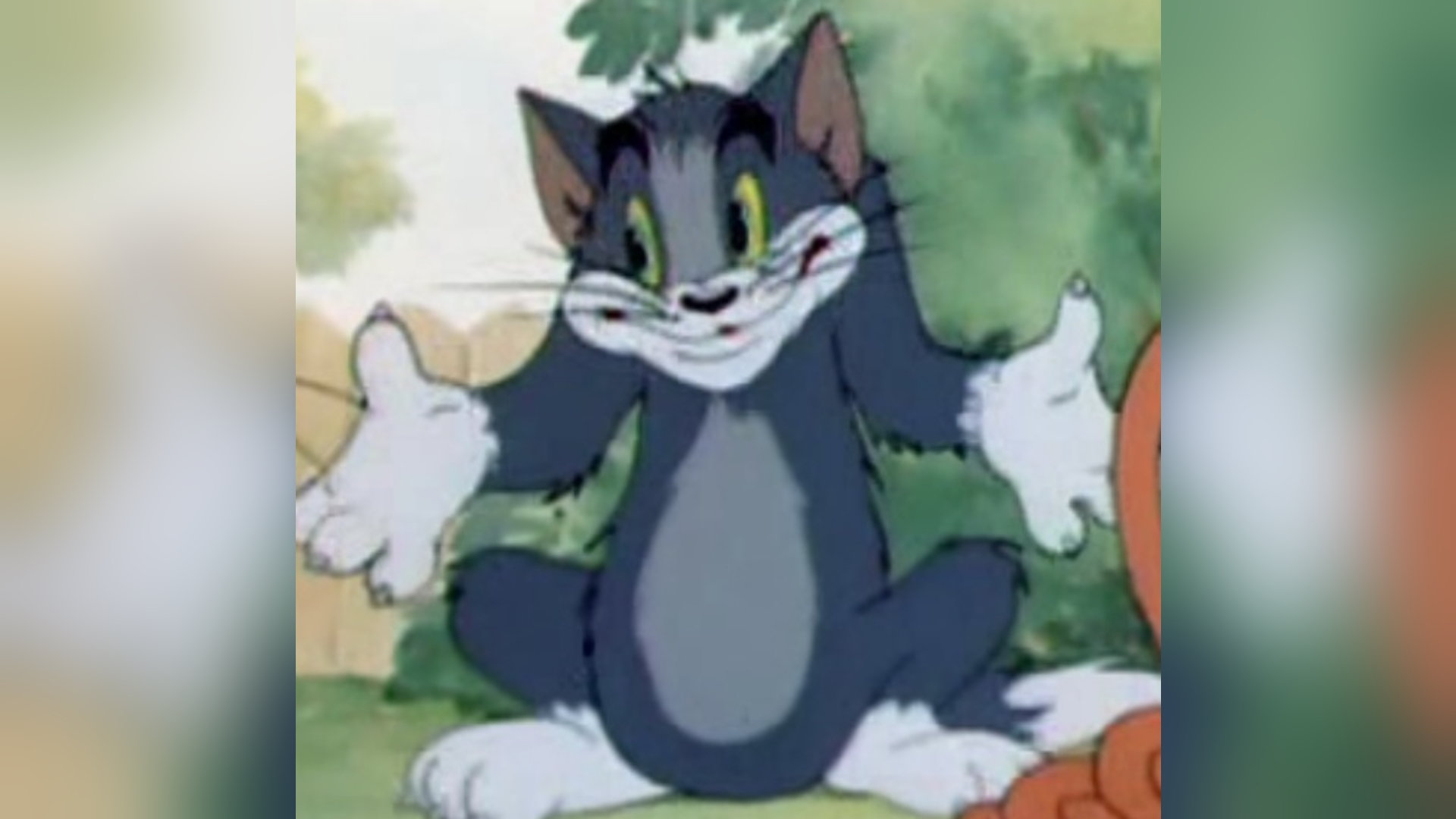 Tom And Jerry Memes Wallpapers