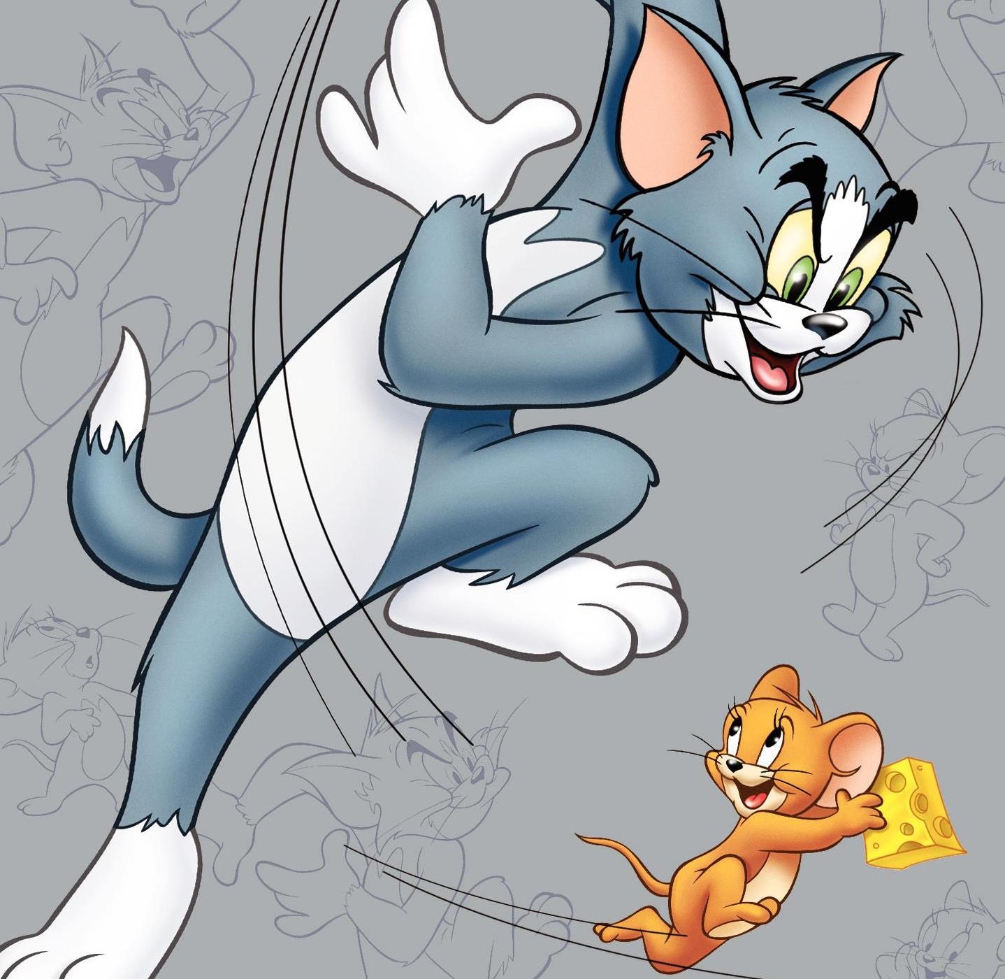 Tom And Jerry Memes Wallpapers