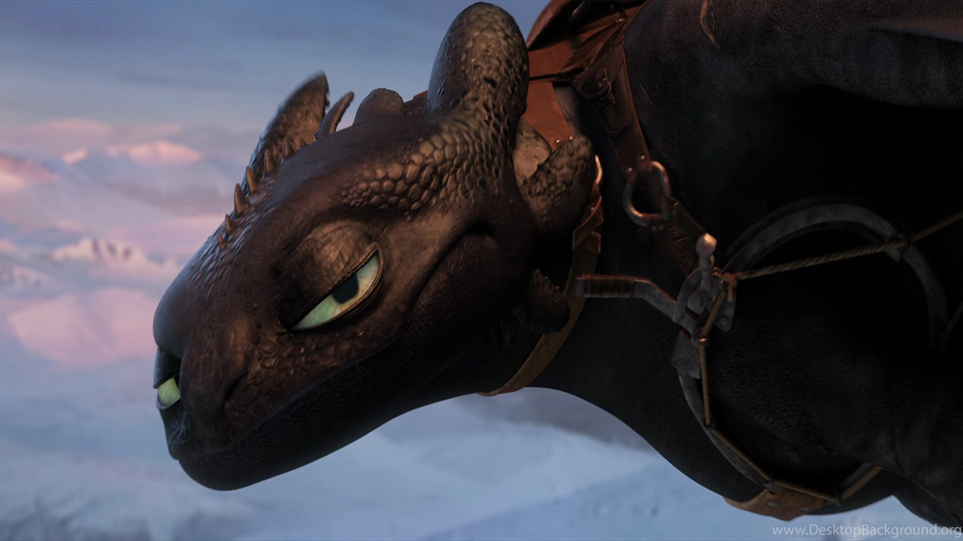 Toothless Wallpapers