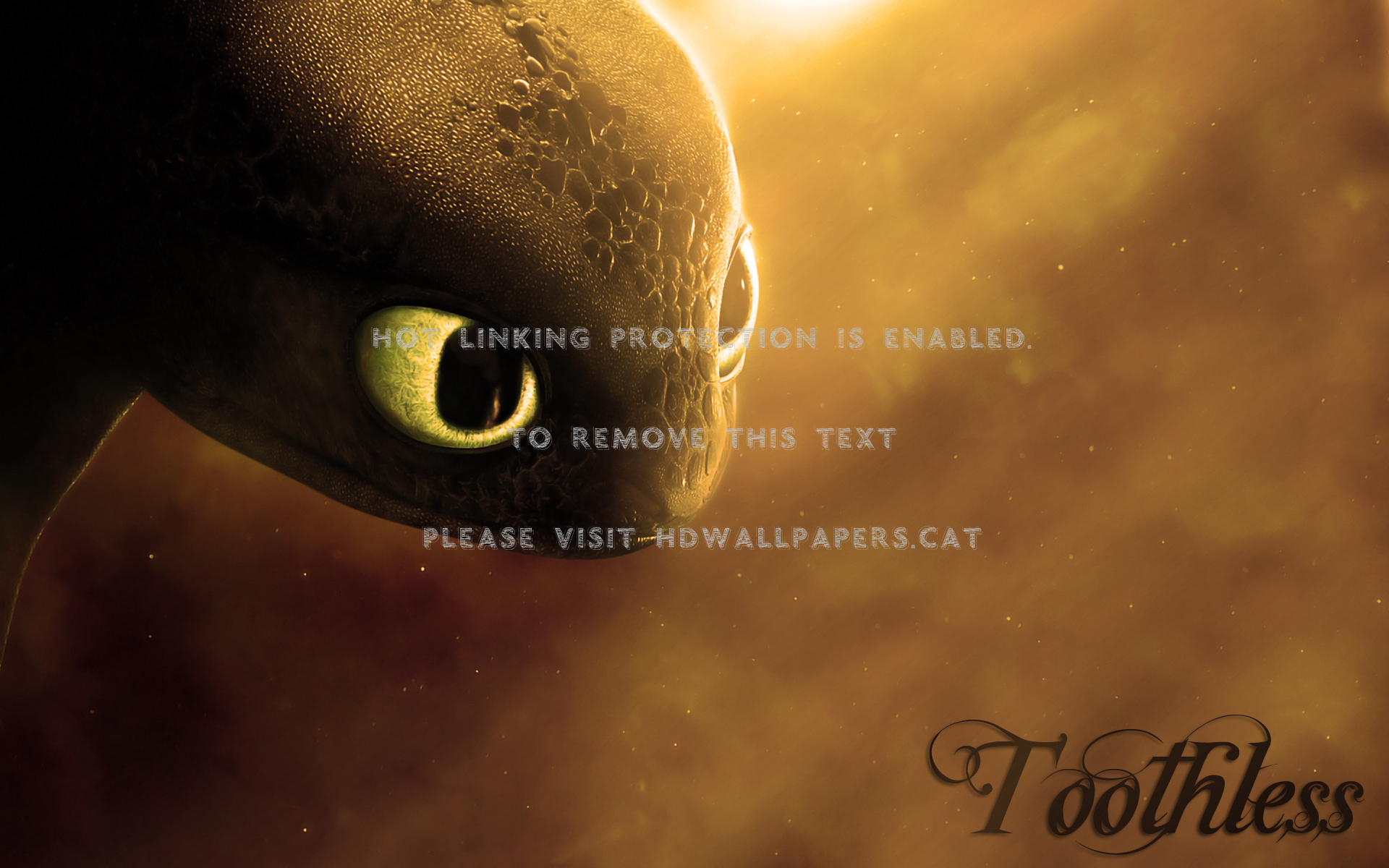 Toothless Wallpapers