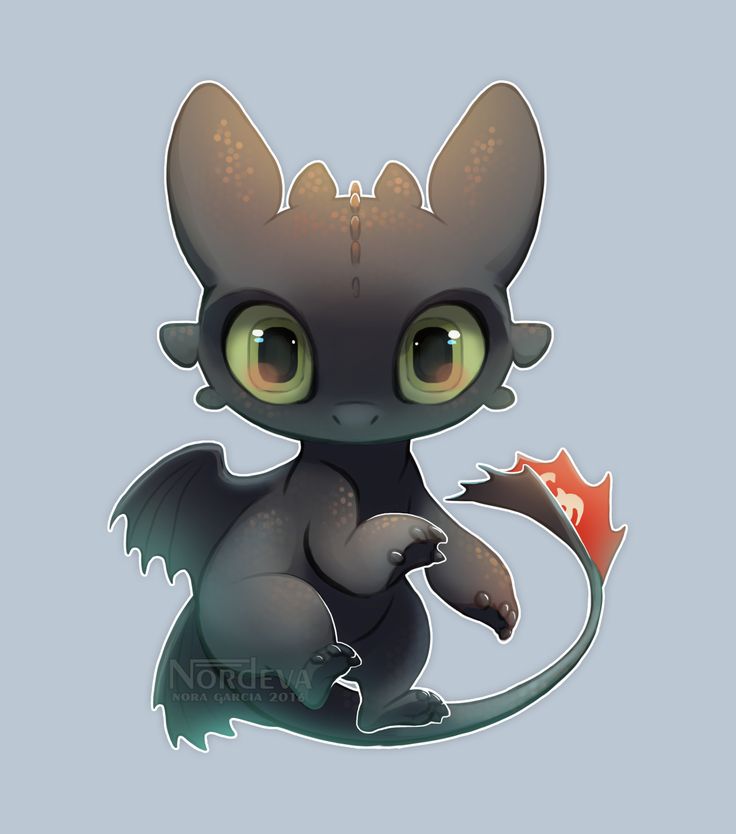 Toothless Wallpapers