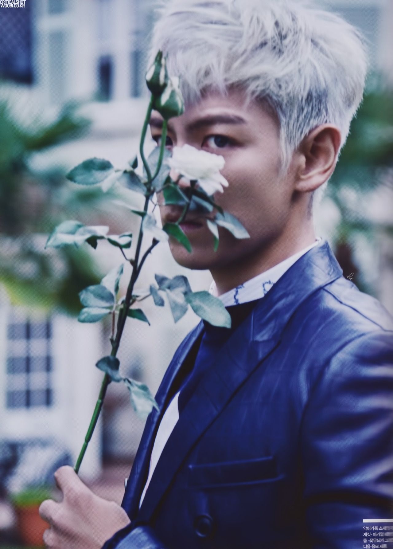 Top Bigbang Wallpapers