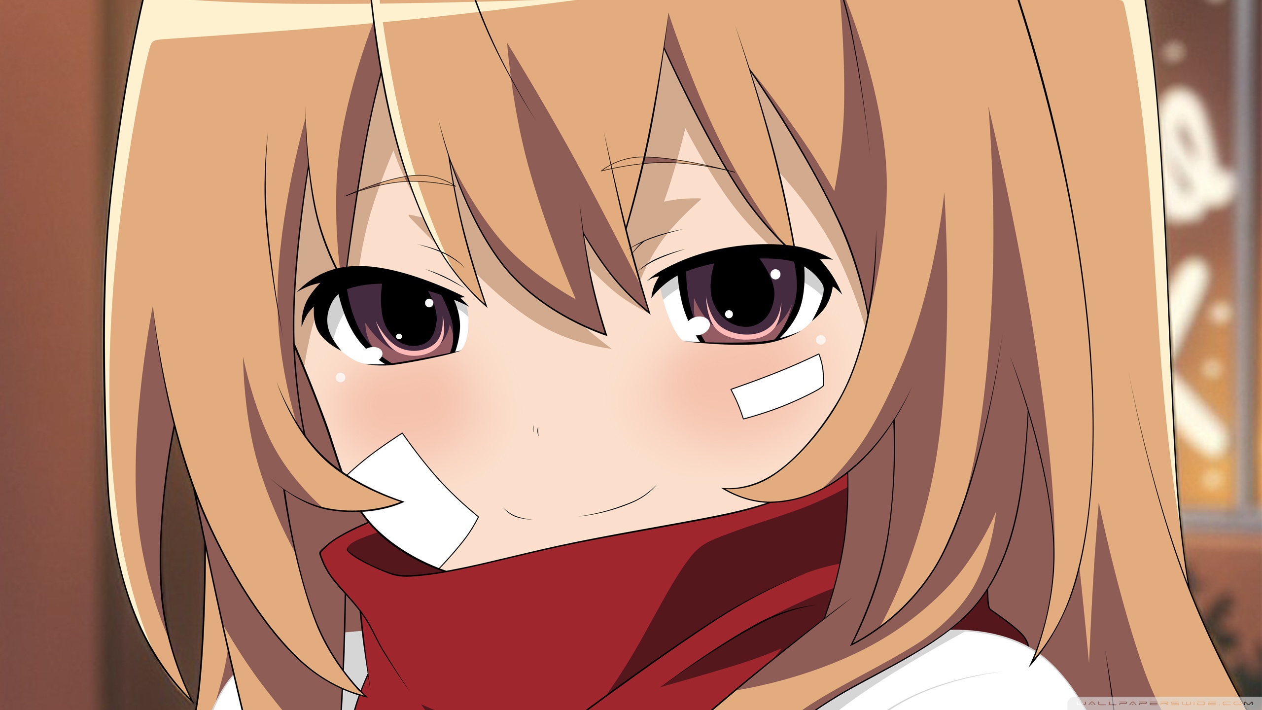 Toradora Desktop Wallpapers