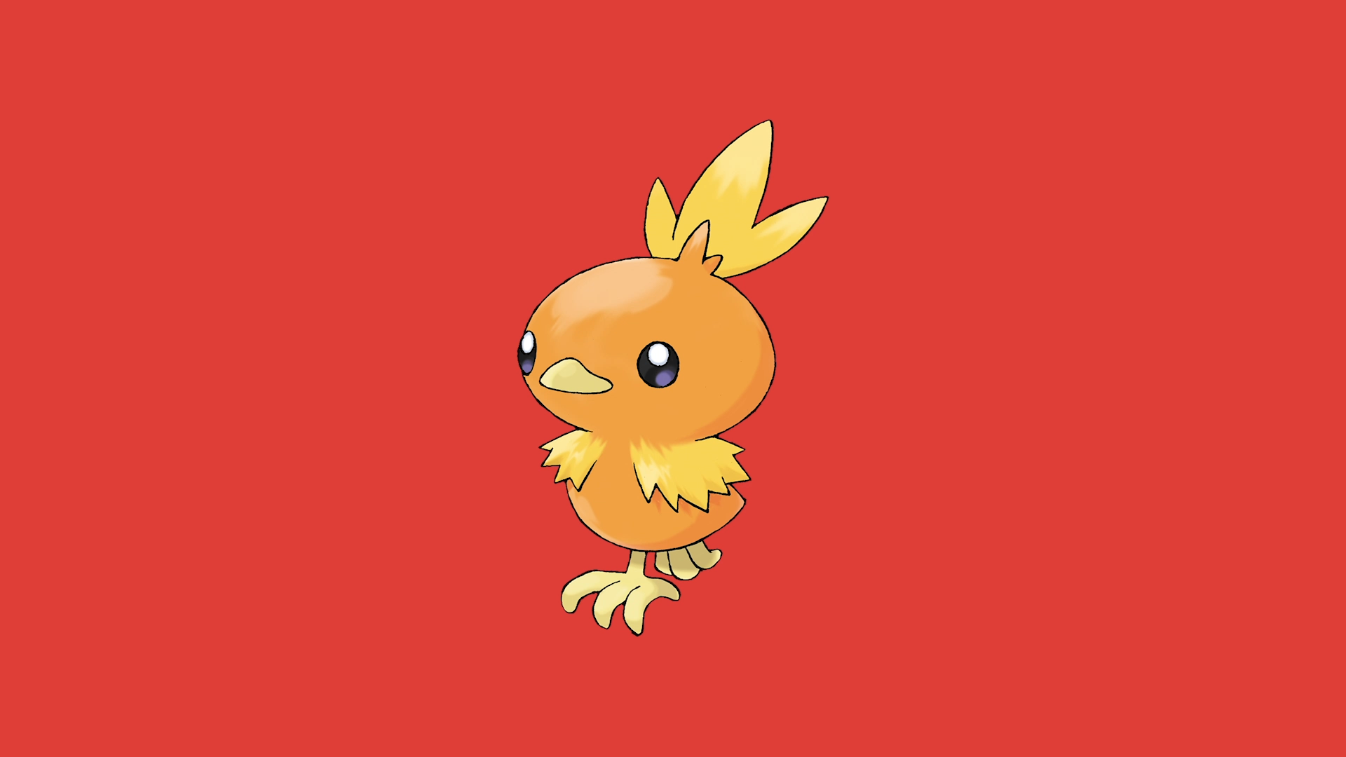 Torchic Hd Wallpapers