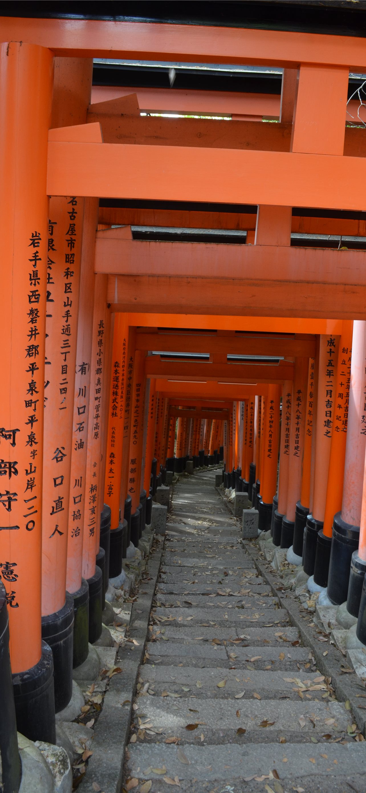 Torii Gate Wallpapers