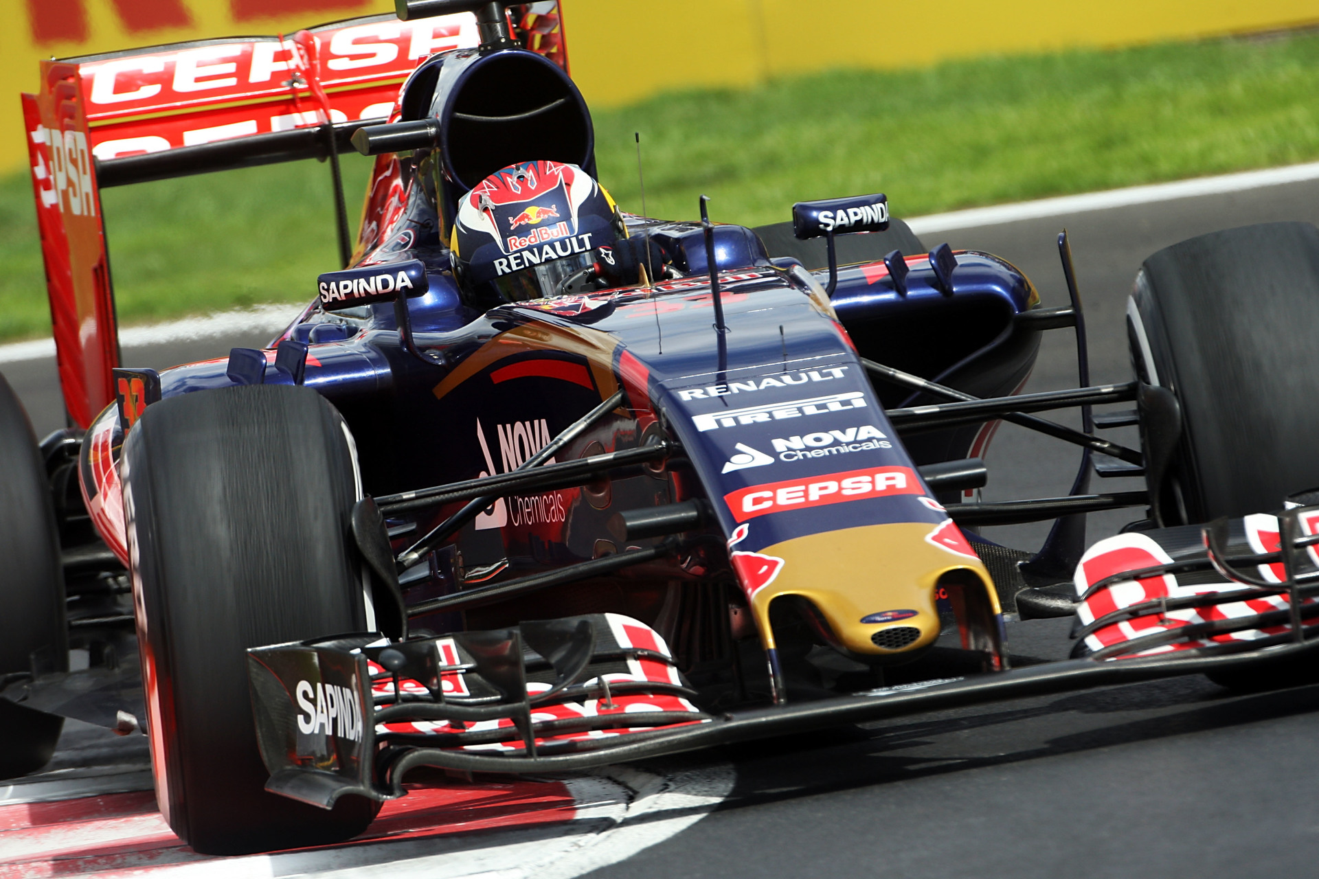 Toro Rosso Wallpapers