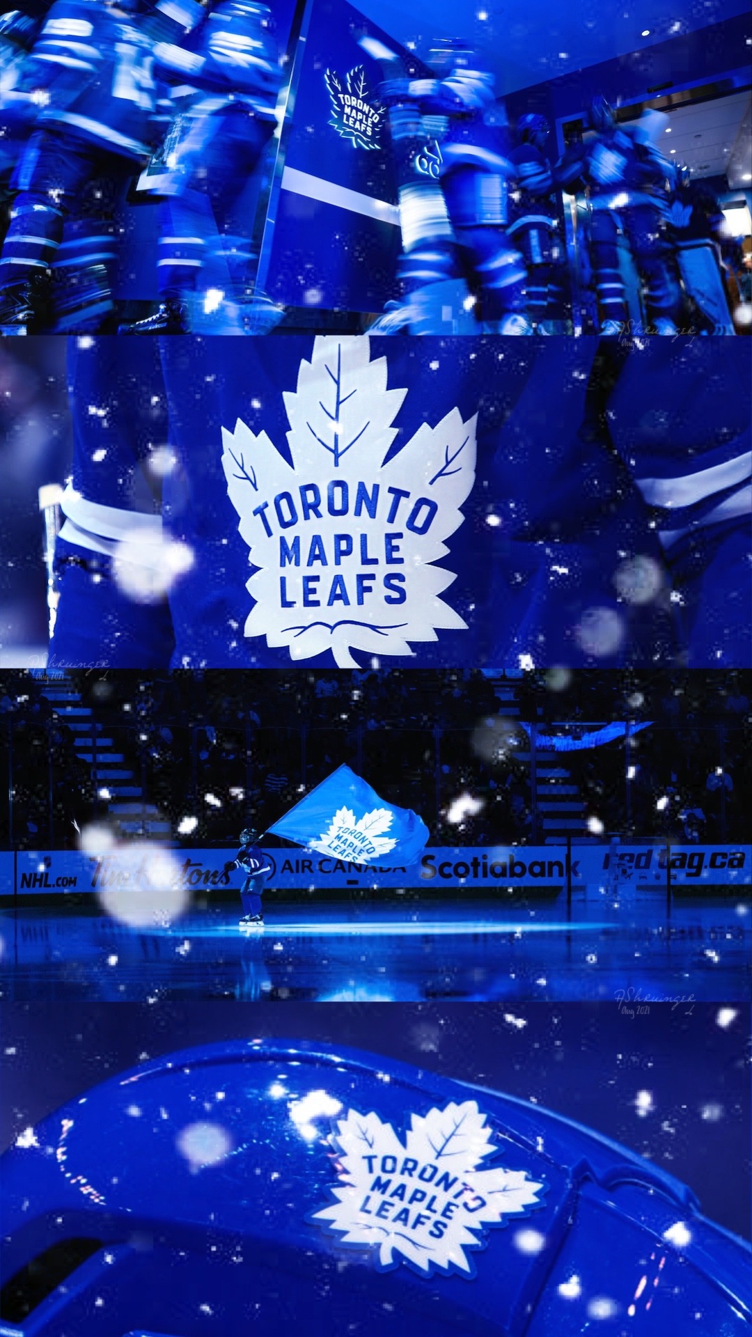 Toronto Maple Leafs Wallpapers