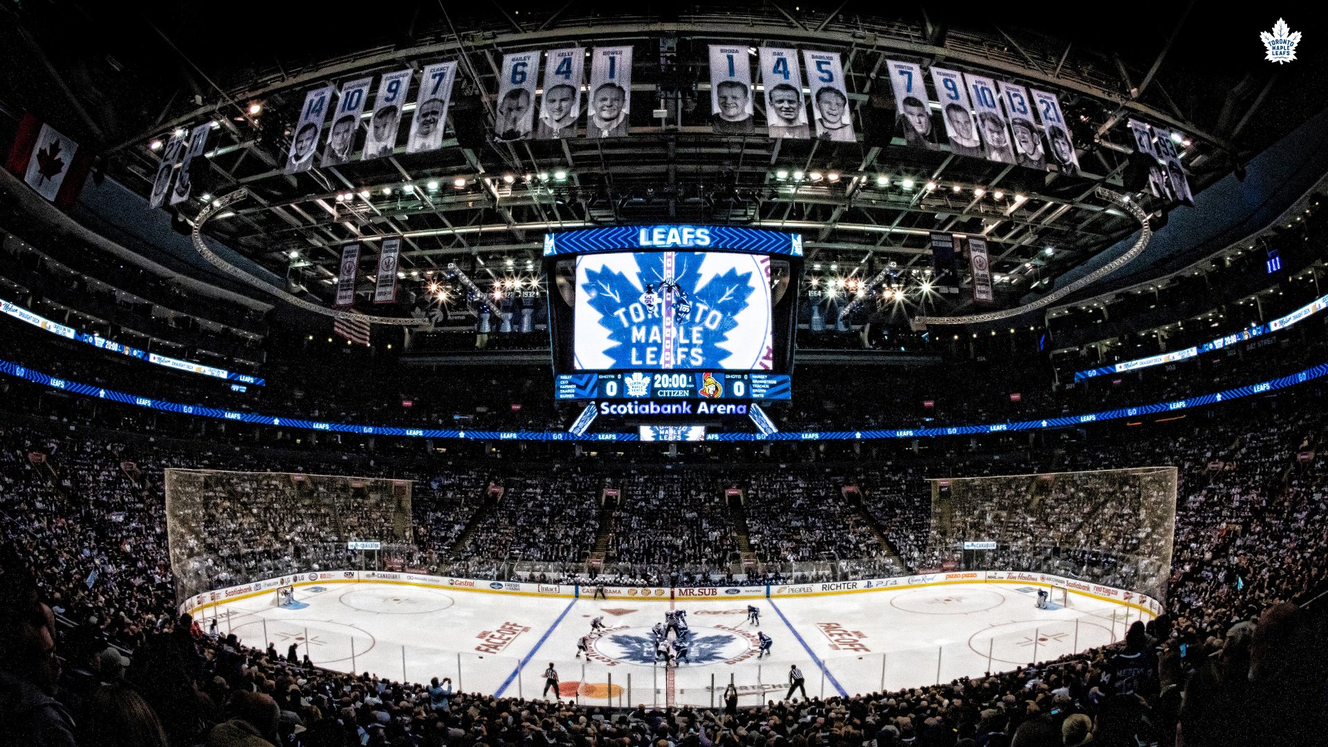 Toronto Maple Leafs Wallpapers