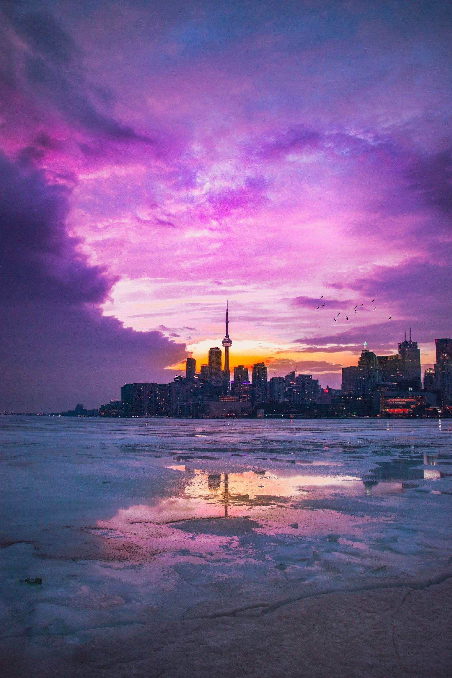 Toronto Ontario Cityscape In Sunset Wallpapers