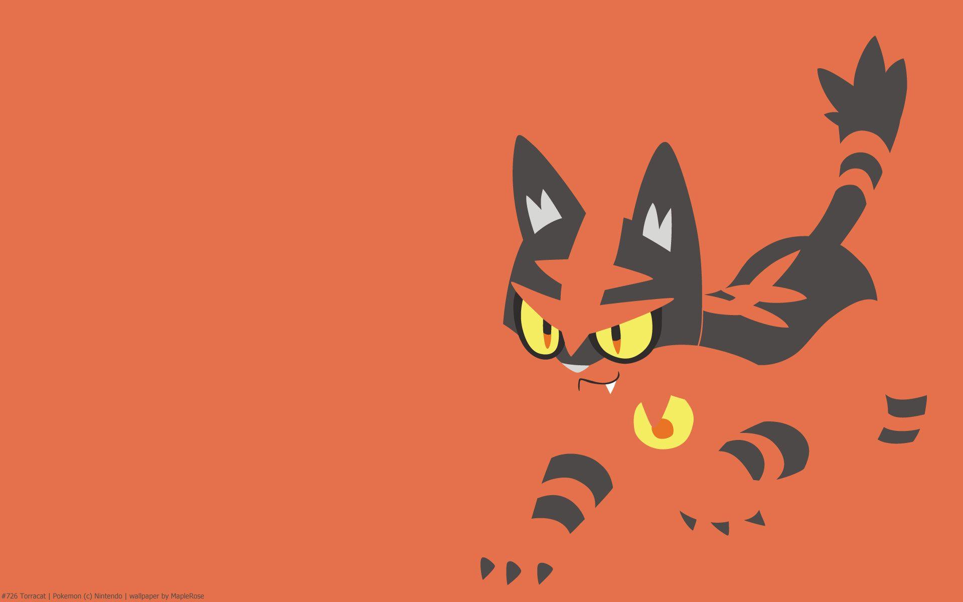 Torracat Hd Wallpapers