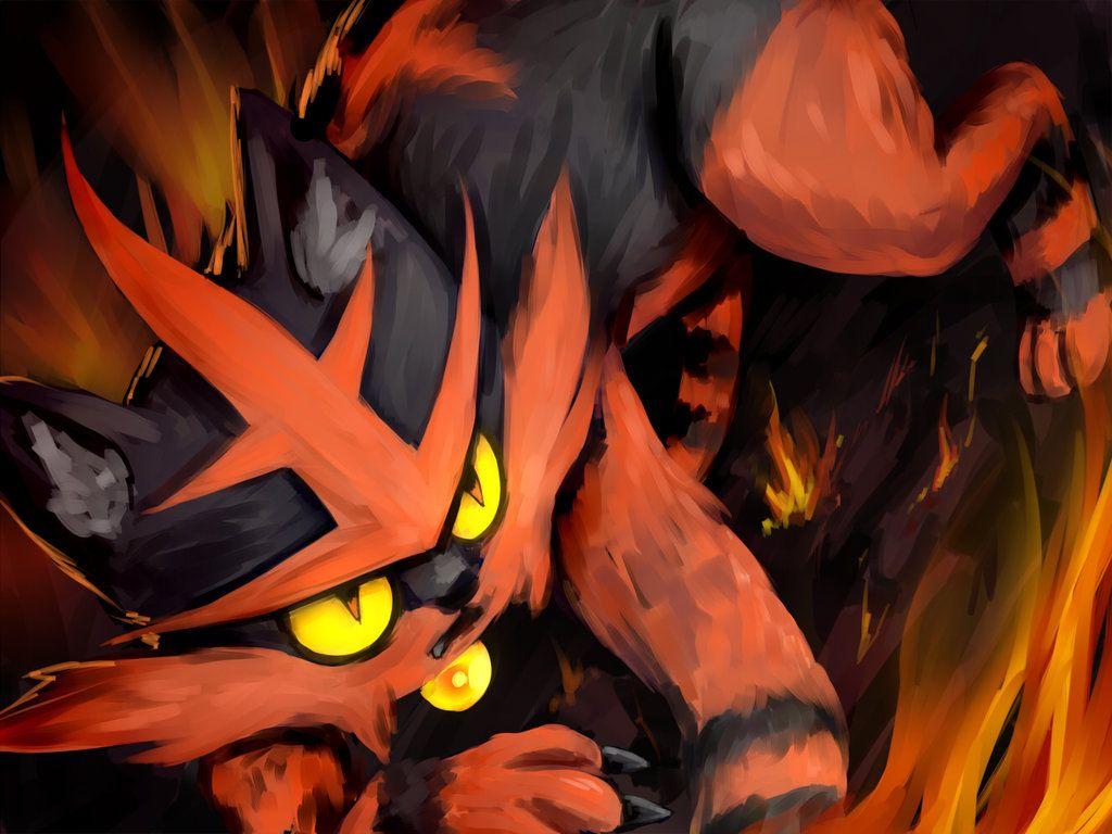 Torracat Hd Wallpapers