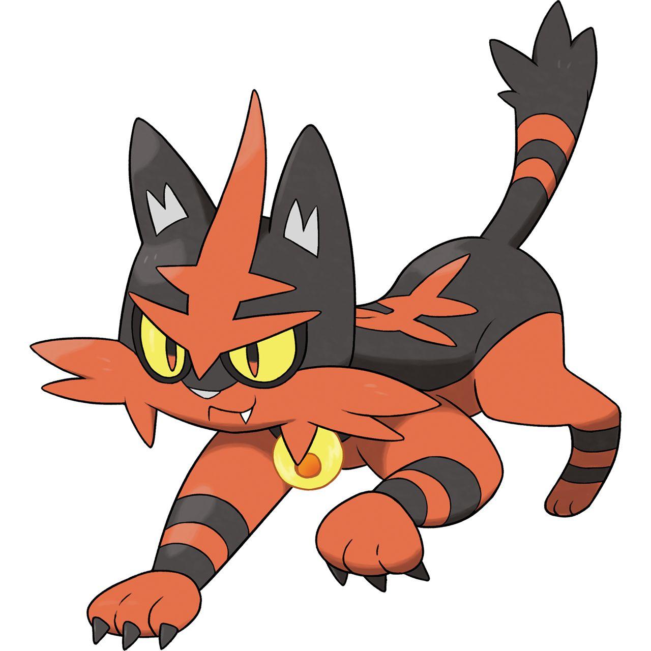 Torracat Hd Wallpapers