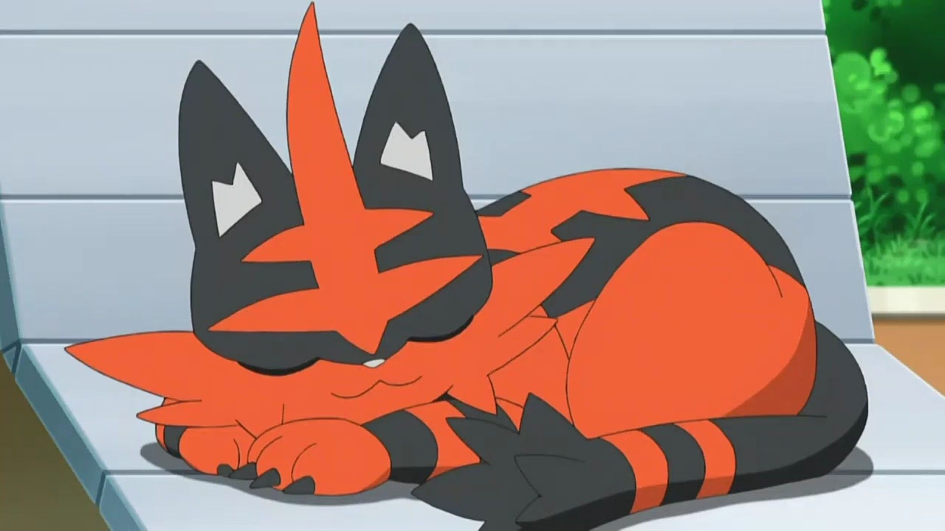 Torracat Hd Wallpapers